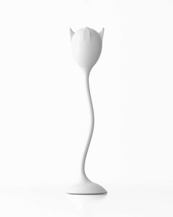 Tulipan, the innovative-design coat stand by Servetto - Bild 1 von 2